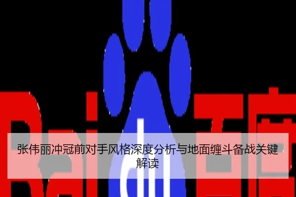 张伟丽冲冠前对手风格深度分析与地面缠斗备战关键解读